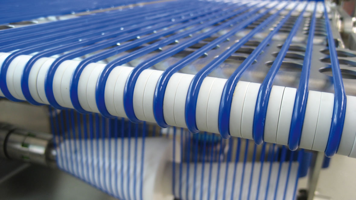 Conveyor belts and processing belts