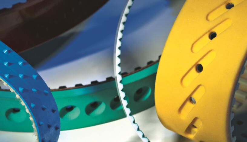 Plastic module conveyor belt