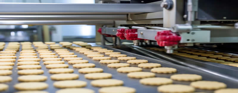 传送带和加工带 – 蒙提输送带