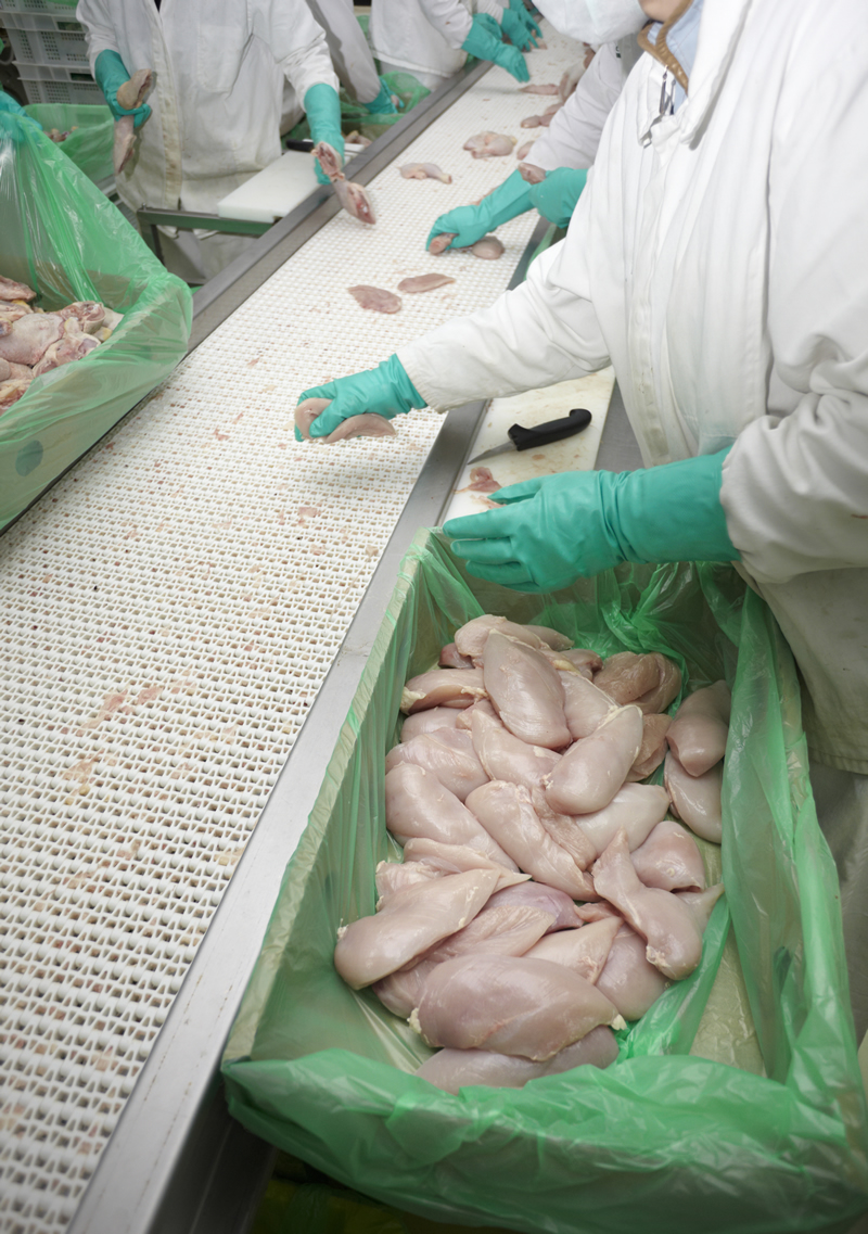 肉禽、家禽和海鲜加工(图1)