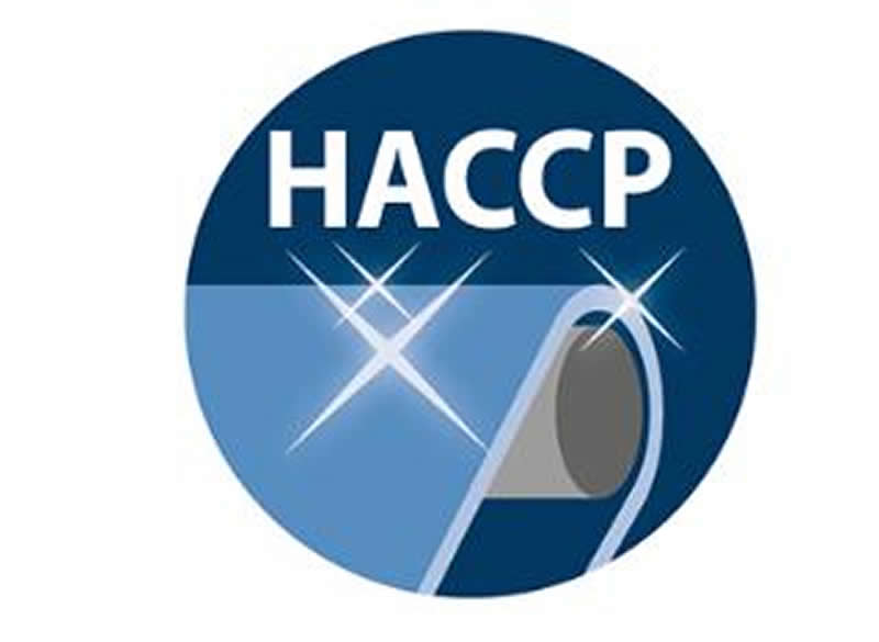 均质一体带(图8)