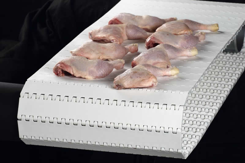 塑料模块输送带(图1)