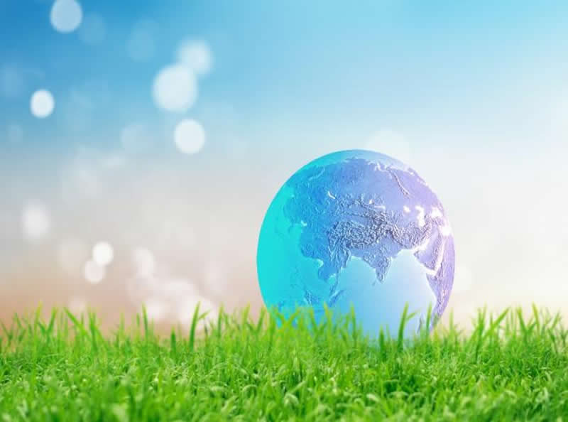 传送带和加工带 – 蒙提输送带(图2)